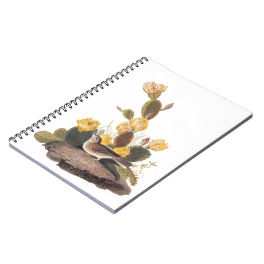 Carnet Audubon Vesper Sparrow et Prickly Pear Cactus (Côté gauche)