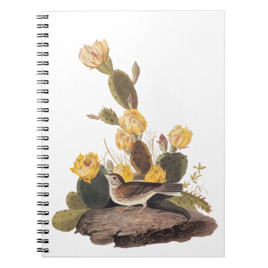 Carnet Audubon Vesper Sparrow et Prickly Pear Cactus (Devant)