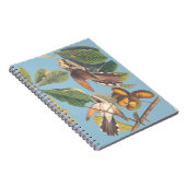 Carnet Audubon Yellow Billed Cuckoo Mini Porte - bloc (Côté Droit)