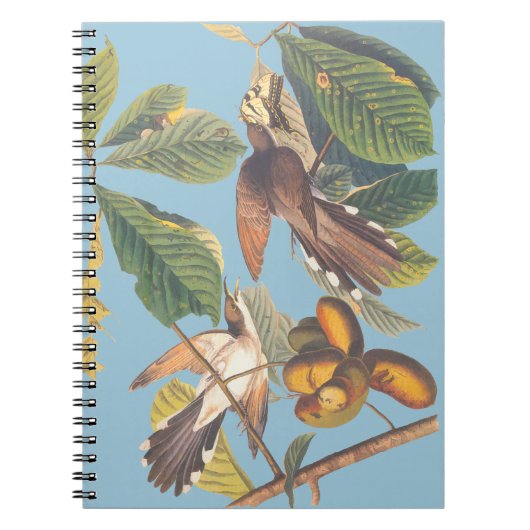 Carnet Audubon Yellow Billed Cuckoo Mini Porte - bloc (Devant)
