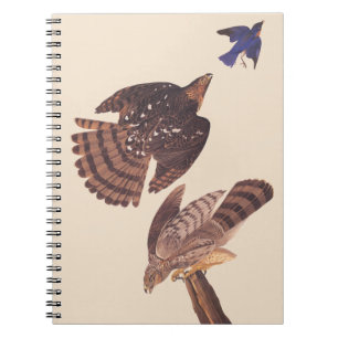 Carnet Audubon's Coopers Hawk Bird of Prey