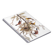 Carnet Audubon's Orchard Oiseaux orientaux nichant dans l (Côté Droit)