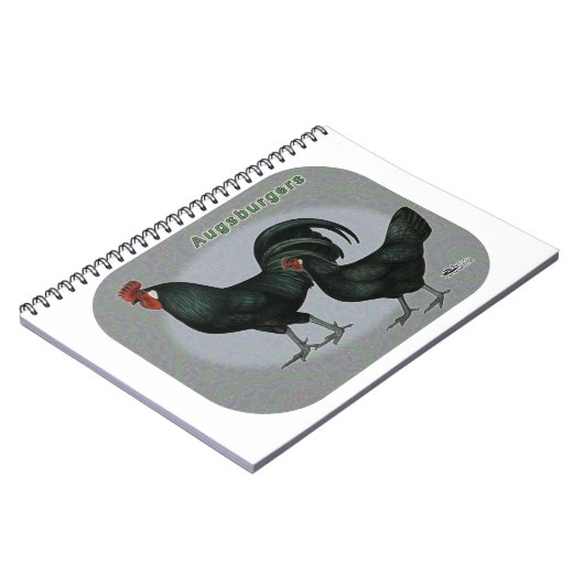 Carnet Augsburger Fowl (Côté gauche)