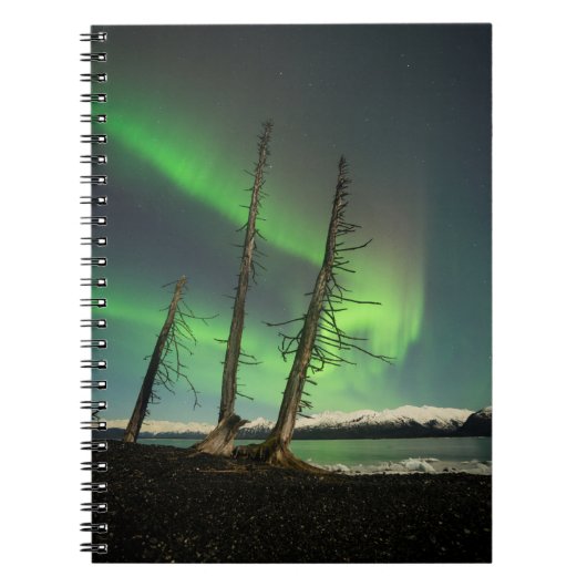 Carnet Aurora d'épinette oubliée (Devant)