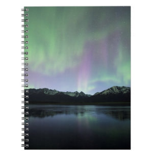 Carnet Aurora rose