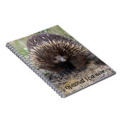 Carnet Australie Echidna Cute Animal Photo (Côté Droit)