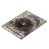 Carnet Australie Echidna Cute Animal Photo (Côté gauche)