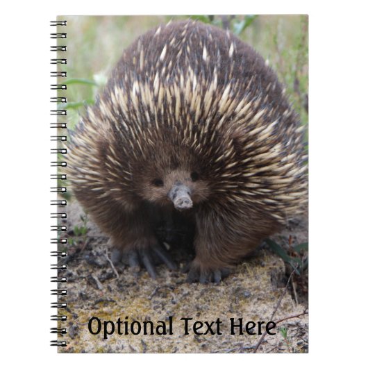 Carnet Australie Echidna Cute Animal Photo (Devant)