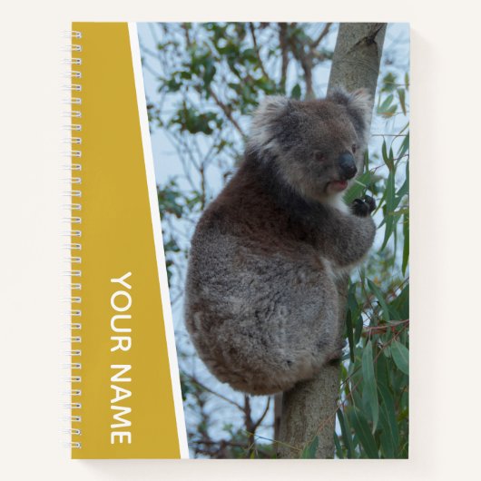 Carnet Australie Koala dans un arbre à eucalyptus, or (Devant)
