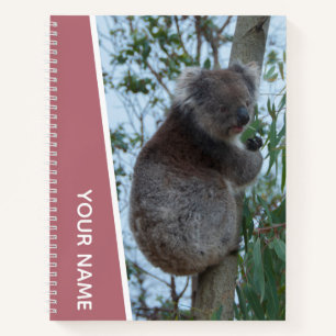 Carnet Australie Koala dans un arbre à eucalyptus, or Ros
