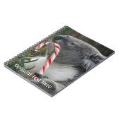 Carnet Australie Noël Koala Bear (Côté gauche)