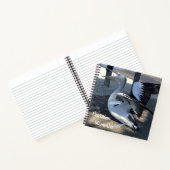 Carnet Australie ; Pélican - Voyage (Intérieur)