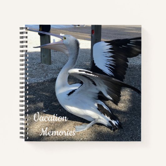 Carnet Australie ; Pélican - Voyage (Devant)
