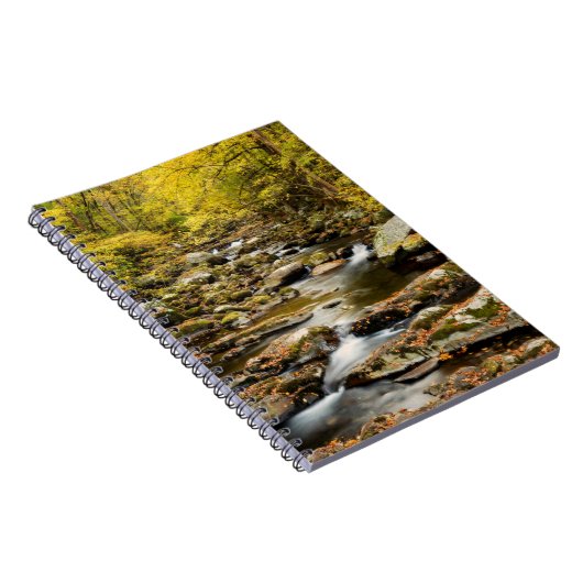 Carnet Automne à Big Creek (Côté Droit)