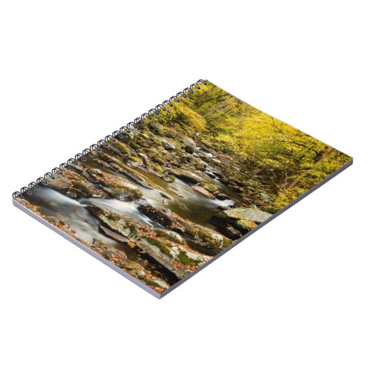 Carnet Automne à Big Creek (Côté gauche)