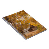 Carnet Automne à Mormon Row (Côté Droit)