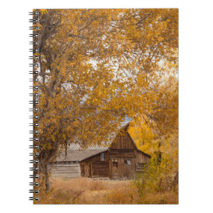Carnet Automne à Mormon Row