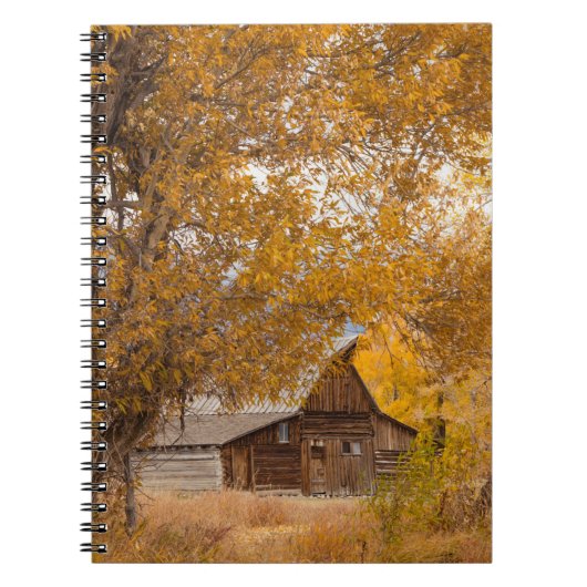 Carnet Automne à Mormon Row (Devant)