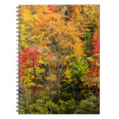 Carnet Automne à Sims Pond North Carolina, Blue Ridge (Devant)