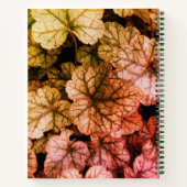 Carnet Automne / Automne Arc-en-ciel Monogramme - Feuilla (Dos)