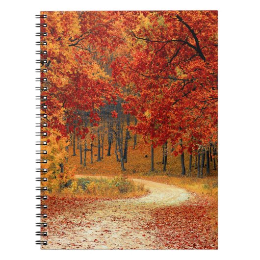 Carnet automne dans la forêt (Devant)