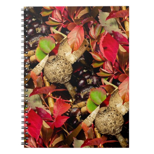 Carnet Automne Feuilles automnales, châtaignes, champigno (Devant)