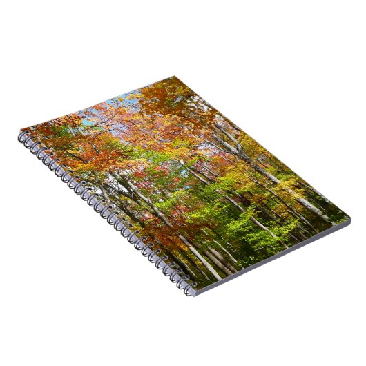 Carnet Automne Forêt II Automne Paysage Photographie (Côté Droit)