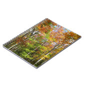 Carnet Automne Forêt II Automne Paysage Photographie (Côté gauche)