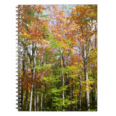 Carnet Automne Forêt II Automne Paysage Photographie (Devant)