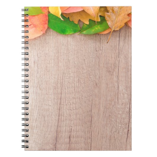 Carnet Automne orange nature rouge jaune (Devant)