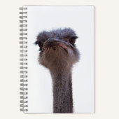 Carnet autruche (Recto)