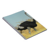 Carnet Autruche en course (Côté Droit)