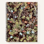 Carnet aux bleuets (Devant)