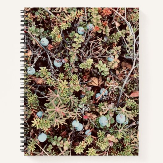 Carnet aux bleuets (Devant)