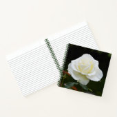 Carnet aux fleurs de rose blanche (Intérieur)