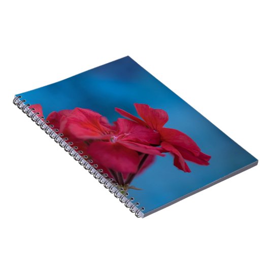 Carnet aux fleurs rouges (Côté Droit)