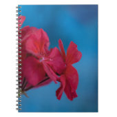 Carnet aux fleurs rouges (Devant)