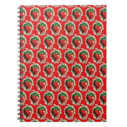 Carnet aux fraises (Devant)