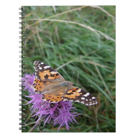 Carnet aux papillons orange (Devant)
