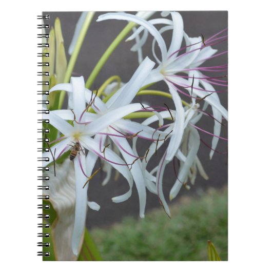Carnet aux parfums floraux (Devant)