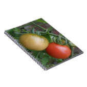Carnet aux tomates orange et rouge (Côté Droit)