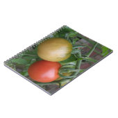 Carnet aux tomates orange et rouge (Côté gauche)