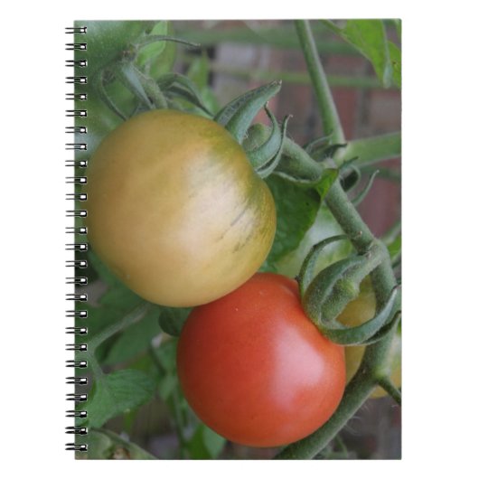 Carnet aux tomates orange et rouge (Devant)