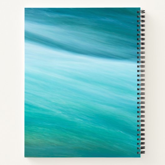 Carnet Avant les chutes (Dos)