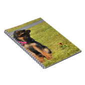 Carnet avec german shepard admirant un rose (Côté Droit)