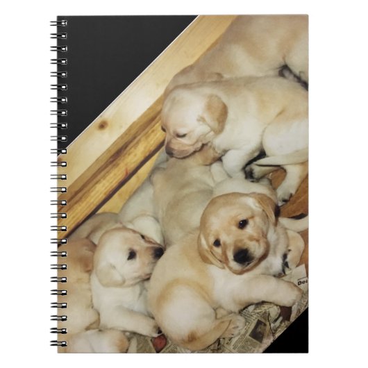 Carnet avec la photo des chiots jaunes de (Devant)