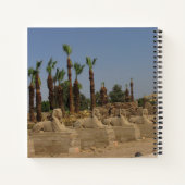 Carnet Avenue des Sphinx (Dos)
