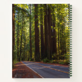 Carnet Avenue du séquoia géant Californie (Dos)