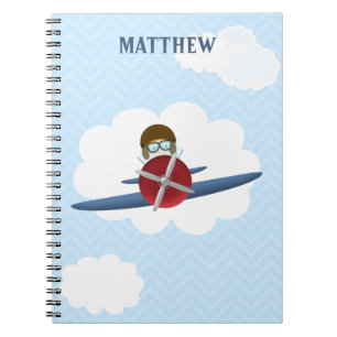 Carnet Aviateur et son avion