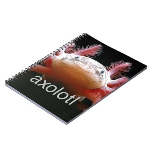 Carnet Axolotl d'Axolotl d'Axolotl d'Axolotl (Côté gauche)